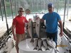 (08/05/2015) - Nice Striped Bass